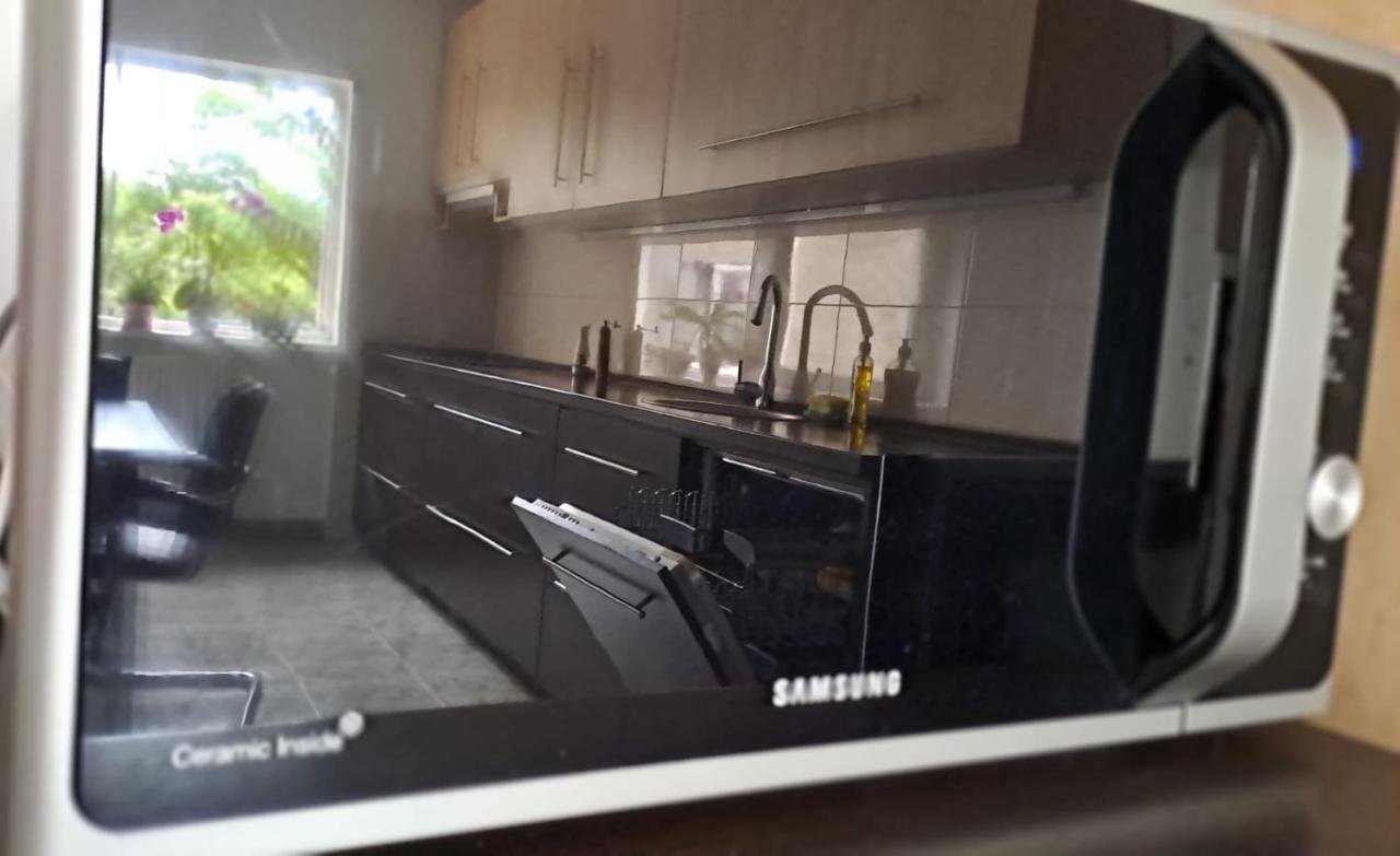 Daria Lorenzo Apartament ทิมิชัวรา ภายนอก รูปภาพ